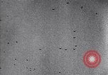 Image of Allied Forces Tunisia North Africa, 1943, second 35 stock footage video 65675033480