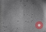 Image of Allied Forces Tunisia North Africa, 1943, second 37 stock footage video 65675033480