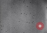 Image of Allied Forces Tunisia North Africa, 1943, second 38 stock footage video 65675033480