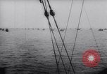Image of Allied Army Italy, 1944, second 59 stock footage video 65675033481