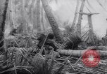 Standbild Vereinigten Staaten Truppen Makin Insel Kiribati Inseln, 1944, aus Sekunde 43 historischem Filmmaterial Videoclip 65675033483