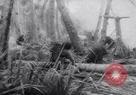 Standbild Vereinigten Staaten Truppen Makin Insel Kiribati Inseln, 1944, aus Sekunde 45 historischem Filmmaterial Videoclip 65675033483