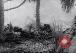Standbild Vereinigten Staaten Truppen Makin Insel Kiribati Inseln, 1944, aus Sekunde 48 historischem Filmmaterial Videoclip 65675033483