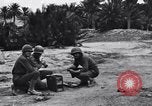 Standbild Pigeon boten Tunesien Nordafrika, 1943, aus Sekunde 3 historischem Filmmaterial Videoclip 65675033484
