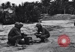Standbild Pigeon boten Tunesien Nordafrika, 1943, aus Sekunde 4 historischem Filmmaterial Videoclip 65675033484