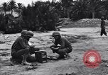 Standbild Pigeon boten Tunesien Nordafrika, 1943, aus Sekunde 5 historischem Filmmaterial Videoclip 65675033484