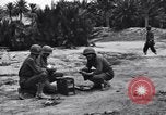 Standbild Pigeon boten Tunesien Nordafrika, 1943, aus Sekunde 6 historischem Filmmaterial Videoclip 65675033484