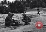 Standbild Pigeon boten Tunesien Nordafrika, 1943, aus Sekunde 7 historischem Filmmaterial Videoclip 65675033484