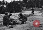 Standbild Pigeon boten Tunesien Nordafrika, 1943, aus Sekunde 8 historischem Filmmaterial Videoclip 65675033484