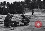 Standbild Pigeon boten Tunesien Nordafrika, 1943, aus Sekunde 10 historischem Filmmaterial Videoclip 65675033484