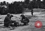 Standbild Pigeon boten Tunesien Nordafrika, 1943, aus Sekunde 11 historischem Filmmaterial Videoclip 65675033484