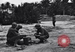 Standbild Pigeon boten Tunesien Nordafrika, 1943, aus Sekunde 12 historischem Filmmaterial Videoclip 65675033484