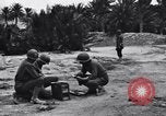 Standbild Pigeon boten Tunesien Nordafrika, 1943, aus Sekunde 13 historischem Filmmaterial Videoclip 65675033484