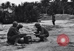 Standbild Pigeon boten Tunesien Nordafrika, 1943, aus Sekunde 14 historischem Filmmaterial Videoclip 65675033484