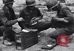 Standbild Pigeon boten Tunesien Nordafrika, 1943, aus Sekunde 25 historischem Filmmaterial Videoclip 65675033484
