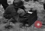Standbild Pigeon boten Tunesien Nordafrika, 1943, aus Sekunde 34 historischem Filmmaterial Videoclip 65675033484