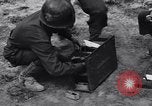 Standbild Pigeon boten Tunesien Nordafrika, 1943, aus Sekunde 35 historischem Filmmaterial Videoclip 65675033484