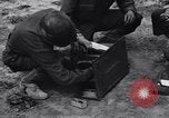 Standbild Pigeon boten Tunesien Nordafrika, 1943, aus Sekunde 36 historischem Filmmaterial Videoclip 65675033484