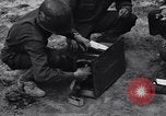 Standbild Pigeon boten Tunesien Nordafrika, 1943, aus Sekunde 37 historischem Filmmaterial Videoclip 65675033484