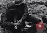 Standbild Pigeon boten Tunesien Nordafrika, 1943, aus Sekunde 39 historischem Filmmaterial Videoclip 65675033484