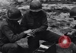 Standbild Pigeon boten Tunesien Nordafrika, 1943, aus Sekunde 40 historischem Filmmaterial Videoclip 65675033484