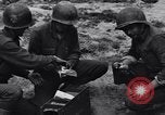 Standbild Pigeon boten Tunesien Nordafrika, 1943, aus Sekunde 42 historischem Filmmaterial Videoclip 65675033484