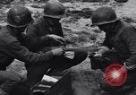 Standbild Pigeon boten Tunesien Nordafrika, 1943, aus Sekunde 44 historischem Filmmaterial Videoclip 65675033484