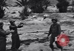 Standbild Pigeon boten Tunesien Nordafrika, 1943, aus Sekunde 47 historischem Filmmaterial Videoclip 65675033484
