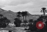 Standbild Pigeon boten Tunesien Nordafrika, 1943, aus Sekunde 50 historischem Filmmaterial Videoclip 65675033484
