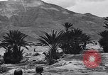 Standbild Pigeon boten Tunesien Nordafrika, 1943, aus Sekunde 53 historischem Filmmaterial Videoclip 65675033484