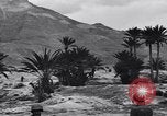 Standbild Pigeon boten Tunesien Nordafrika, 1943, aus Sekunde 55 historischem Filmmaterial Videoclip 65675033484