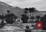Standbild Pigeon boten Tunesien Nordafrika, 1943, aus Sekunde 56 historischem Filmmaterial Videoclip 65675033484