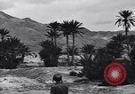 Standbild Pigeon boten Tunesien Nordafrika, 1943, aus Sekunde 57 historischem Filmmaterial Videoclip 65675033484