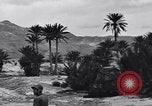 Standbild Pigeon boten Tunesien Nordafrika, 1943, aus Sekunde 58 historischem Filmmaterial Videoclip 65675033484