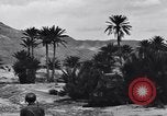 Standbild Pigeon boten Tunesien Nordafrika, 1943, aus Sekunde 59 historischem Filmmaterial Videoclip 65675033484