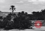 Standbild Pigeon boten Tunesien Nordafrika, 1943, aus Sekunde 61 historischem Filmmaterial Videoclip 65675033484