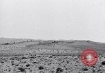 Standbild US-Soldaten Tunesien Nordafrika, 1943, aus Sekunde 19 historischem Filmmaterial Videoclip 65675033485