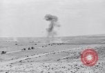 Standbild US-Soldaten Tunesien Nordafrika, 1943, aus Sekunde 54 historischem Filmmaterial Videoclip 65675033485