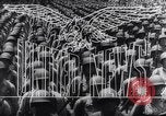 Image of Allied forces Tunisia North Africa, 1943, second 14 stock footage video 65675033493