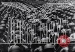 Image of Allied forces Tunisia North Africa, 1943, second 15 stock footage video 65675033493