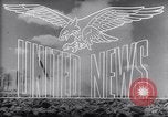 Image of Allied forces Tunisia North Africa, 1943, second 16 stock footage video 65675033493