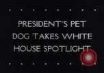 Immagine di Il presidente Franklin Delano Roosevelt Washington DC White House USA, 1943, secondo 3 filmato di repertorio 65675033495