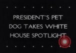 Immagine di Il presidente Franklin Delano Roosevelt Washington DC White House USA, 1943, secondo 4 filmato di repertorio 65675033495