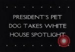 Immagine di Il presidente Franklin Delano Roosevelt Washington DC White House USA, 1943, secondo 5 filmato di repertorio 65675033495