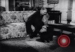 Immagine di Il presidente Franklin Delano Roosevelt Washington DC White House USA, 1943, secondo 43 filmato di repertorio 65675033495