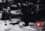 Immagine di Nazioni Unite truppe Tunisi Tunisia, 1943, secondo 48 filmato di repertorio 65675033500