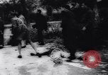 Immagine di Nazioni Unite truppe Tunisi Tunisia, 1943, secondo 49 filmato di repertorio 65675033500