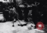 Immagine di Nazioni Unite truppe Tunisi Tunisia, 1943, secondo 50 filmato di repertorio 65675033500