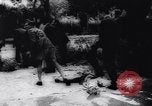 Immagine di Nazioni Unite truppe Tunisi Tunisia, 1943, secondo 51 filmato di repertorio 65675033500