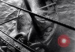 Standbild British Forces Tunis Tunesien, 1943, aus Sekunde 24 historischem Filmmaterial Videoclip 65675033503